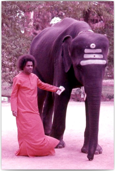 Beloved Bhagawan Sri Sathya Sai Baba